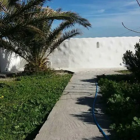 White 1 *